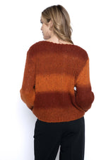 Crew Neck Ombre Sweater Top Back View