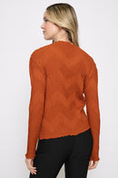 Lettuce-Edge Long-Sleeve Pleated Top Back View