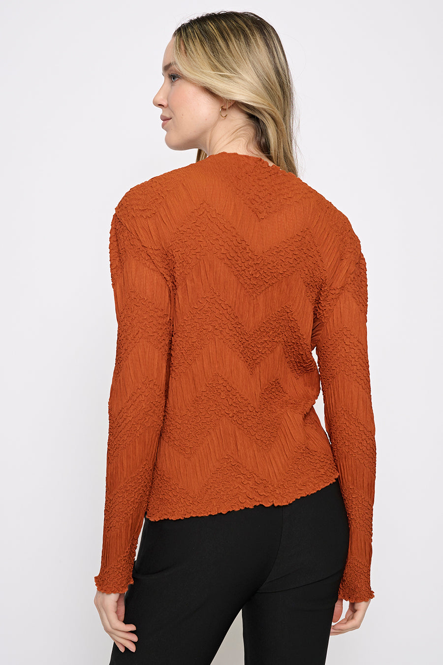 Lettuce-Edge Long-Sleeve Pleated Top Back View