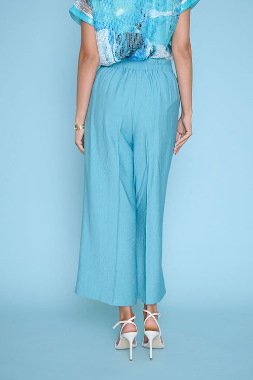 Wide-Leg Cropped Pants Back View