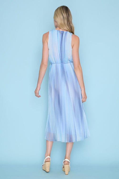 Sleeveless Pleated Dress Back View